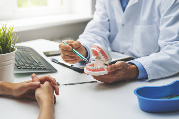 Professional Holistic Dental Care Services in Burnt Mills, MD